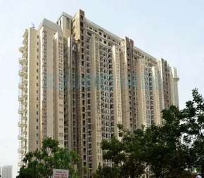 5 BHK Apartment For Rent in DLF The Magnolias Sector 42 Gurgaon 6209155