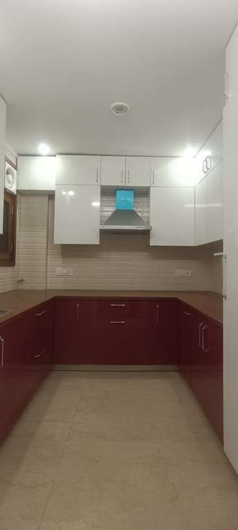 3 BHK Builder Floor For Rent in RWA Chittaranjan Park Block D Chittaranjan Park Delhi 6209206
