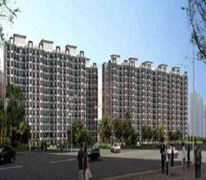 3 BHK Apartment For Rent in Tulip White Sector 69 Gurgaon 6209214