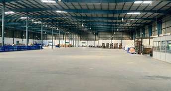 Commercial Warehouse 50000 Sq.Ft. For Rent In Moraiya Ahmedabad 6209403
