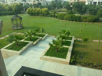 3 BHK Apartment For Rent in Jaypee Spa Court Jaypee Greens Greater Noida 6209694