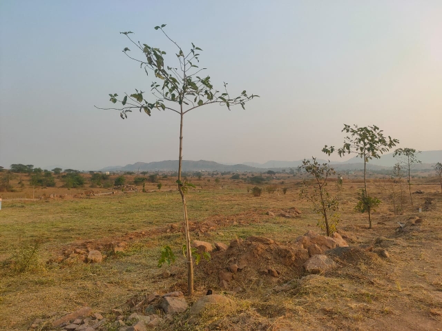 Plot For Resale in Kasarsai Pune  6210053