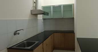 1 BHK Builder Floor For Rent in Hsr Layout Bangalore 6210069