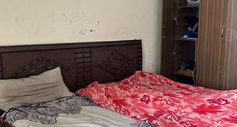 1 BHK Apartment For Rent in Sector 127 Mohali 6210157