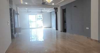 4 BHK Builder Floor For Resale in New Palam Vihar Gurgaon 6210299