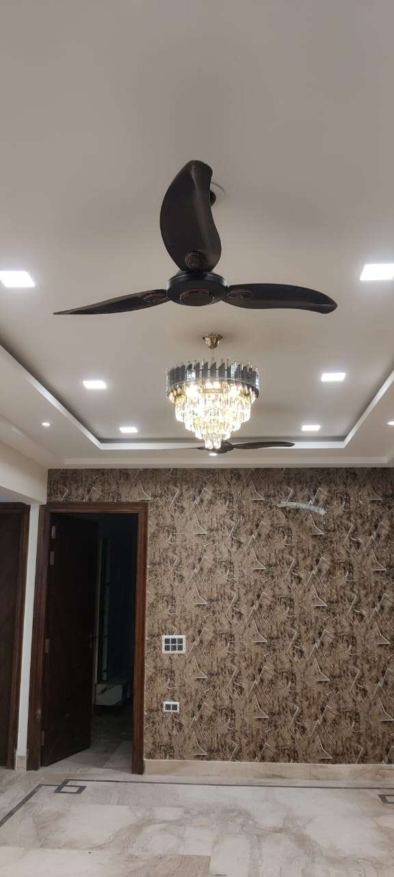 3 Bedroom 270 Sq.Yd. Builder Floor in Sector 31 Gurgaon