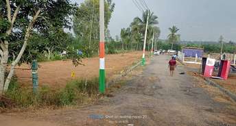  Plot For Resale in Anekal Bangalore 6210742