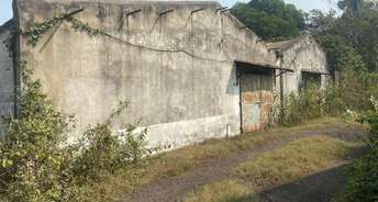Commercial Warehouse 20000 Sq.Ft. For Rent In Rabindra Nagar Asansol 6197133