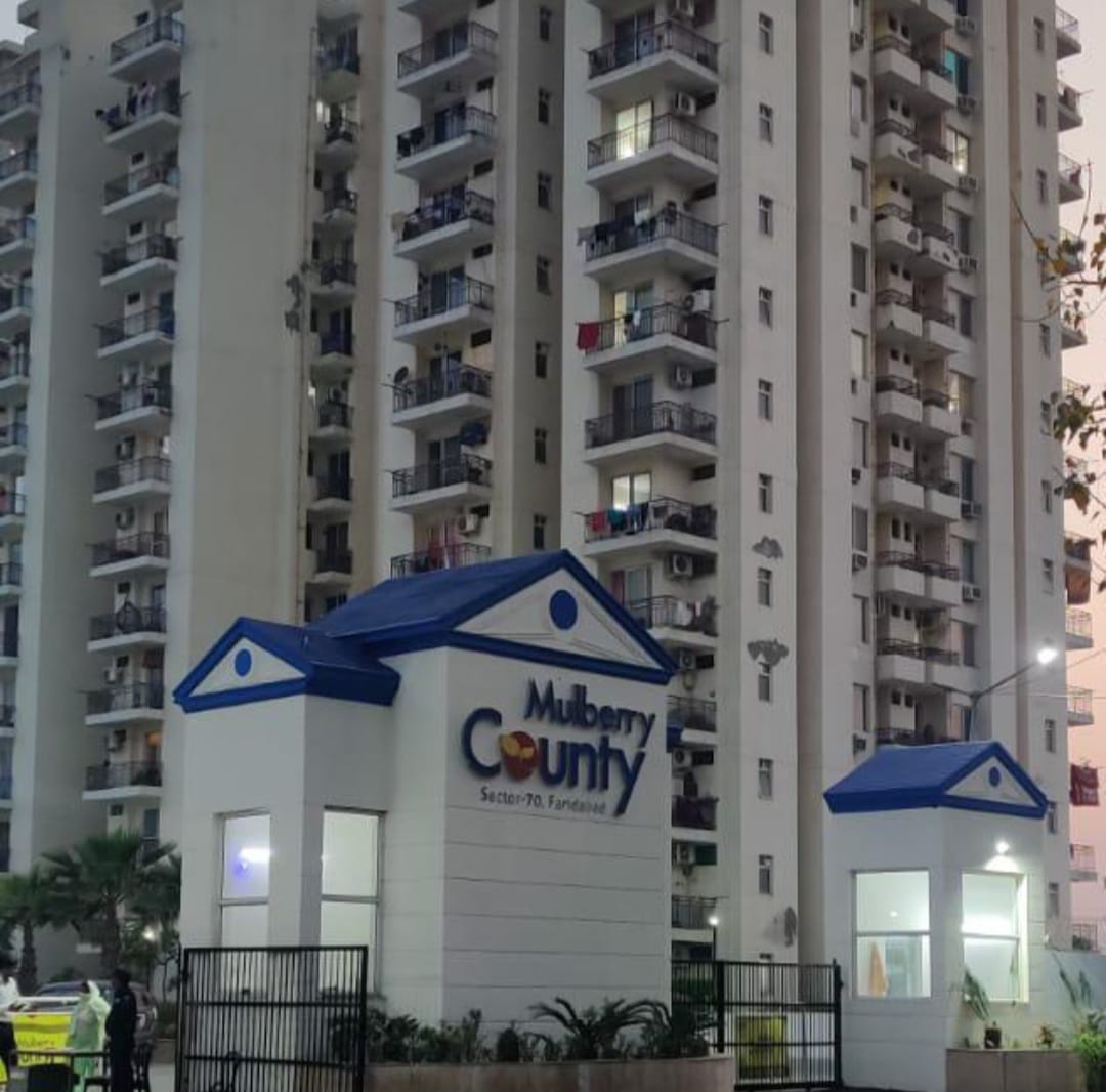 2 BHK Apartment For Resale in MGH Mulberry County Sector 70 Faridabad  6210918