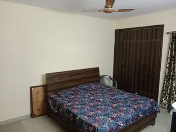 2 BHK Apartment For Rent in RPS Savana Sector 88 Faridabad 6211189