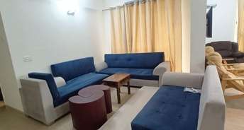 2 BHK Apartment For Rent in Gaur City 2   12th Avenue Noida Ext Sector 16c Greater Noida 6211308