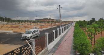  Plot For Resale in Shahbaad Hyderabad 6211567