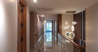 3.5 BHK Builder Floor For Rent in Geetanjali Enclave Delhi 6212300