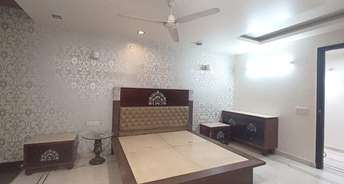4 BHK Builder Floor For Rent in Geetanjali Enclave Delhi 6212553