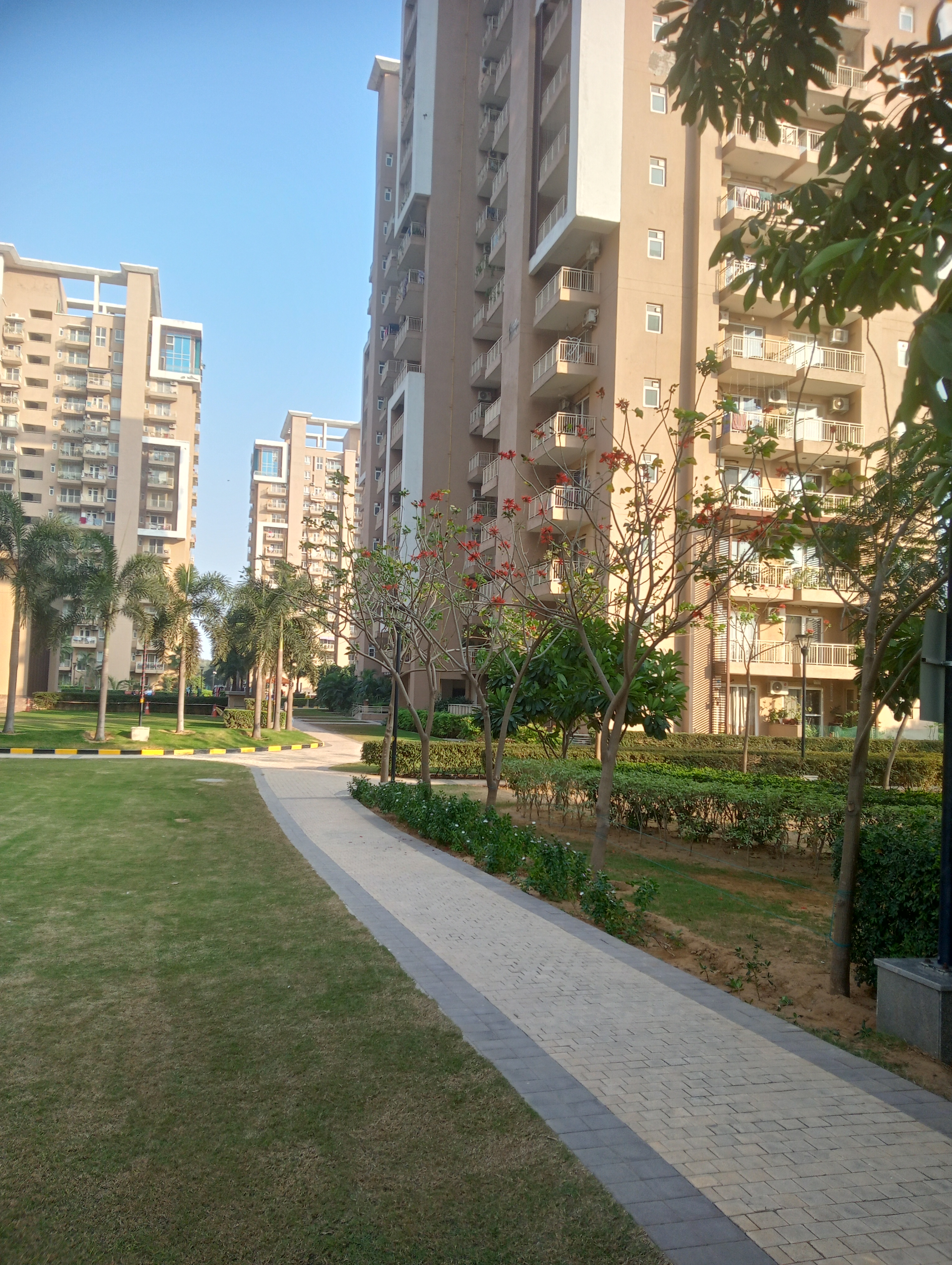 3 BHK Apartment For Resale in Emaar Palm Gardens Sector 83 Gurgaon  6212586