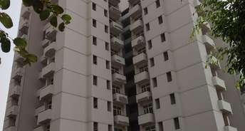 2 BHK Apartment For Resale in Ansal Api Sushant Megapolis Fairway Apartments I Gn Boraki Greater Noida 6212587