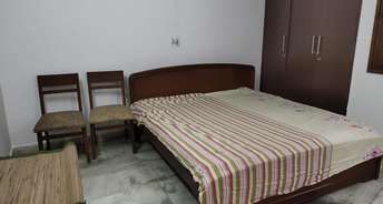 3 BHK Builder Floor For Rent in Green Park Delhi 6212956