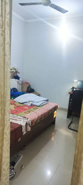2 BHK Apartment For Rent in Katwaria Sarai Dda Flats Katwaria Sarai Delhi 6213002