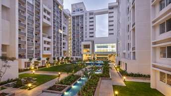 2 BHK Apartment For Rent in Rohan Avriti Whitefield Bangalore 6213020