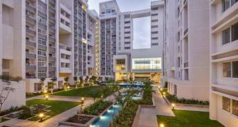 2 BHK Apartment For Rent in Rohan Avriti Whitefield Bangalore 6213020