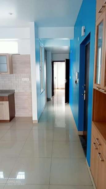 3 BHK Builder Floor For Rent in Paschim Vihar Delhi 6213350