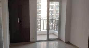 2 BHK Apartment For Rent in Supertech Ecovillage II Noida Ext Sector 16b Greater Noida 6213919