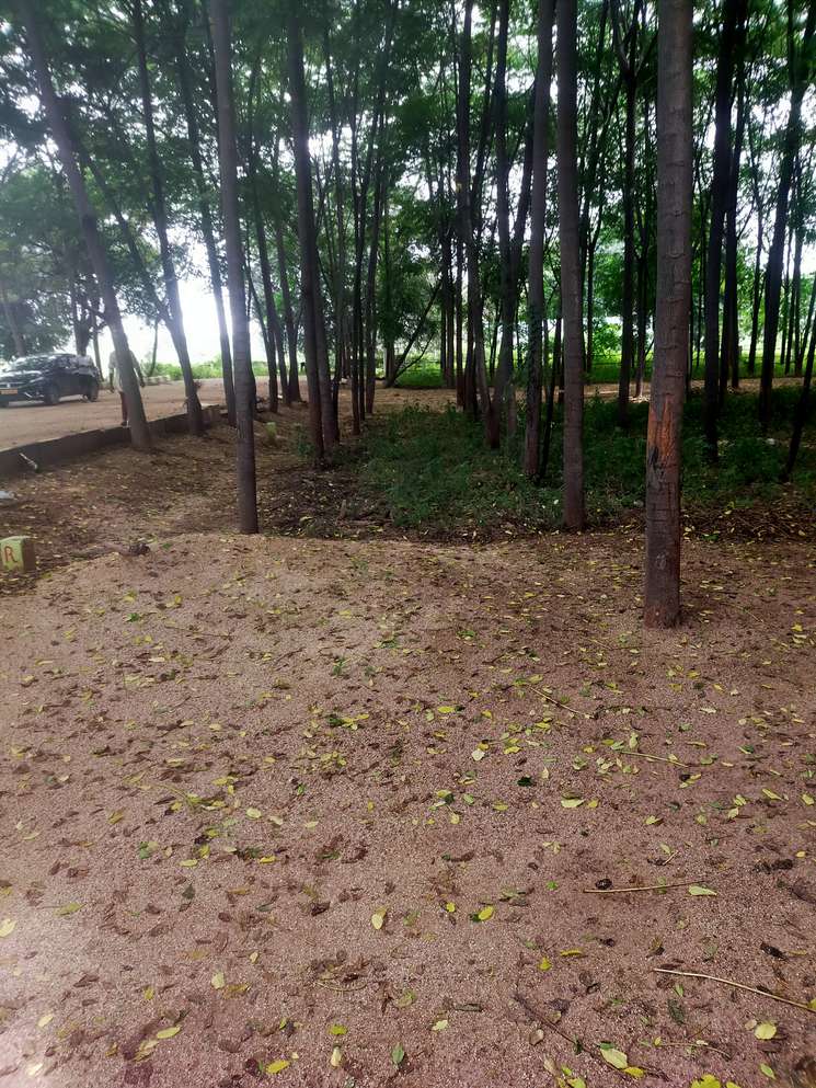 Suvidha Farm Site, Yellakonda