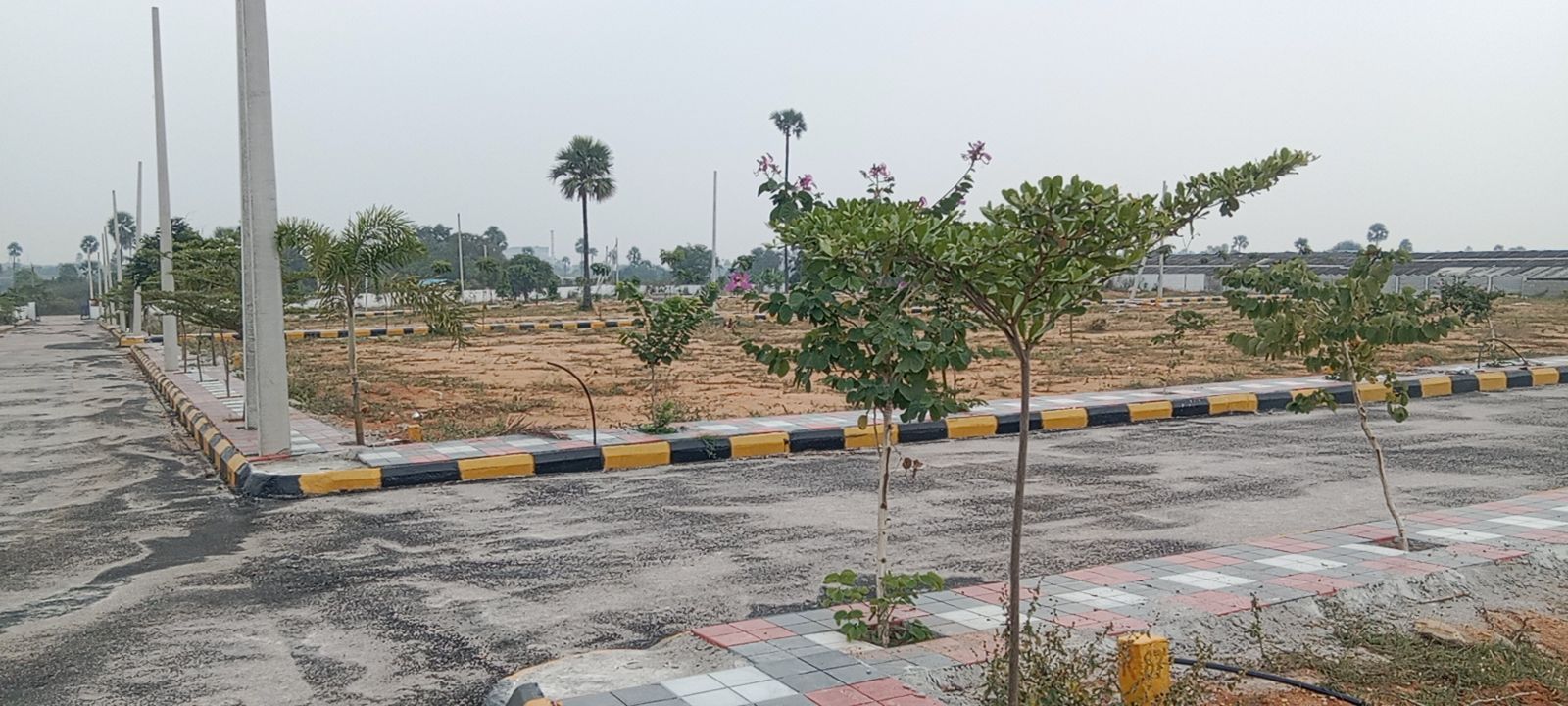 Plot For Resale in Medipalli Hyderabad  6214371