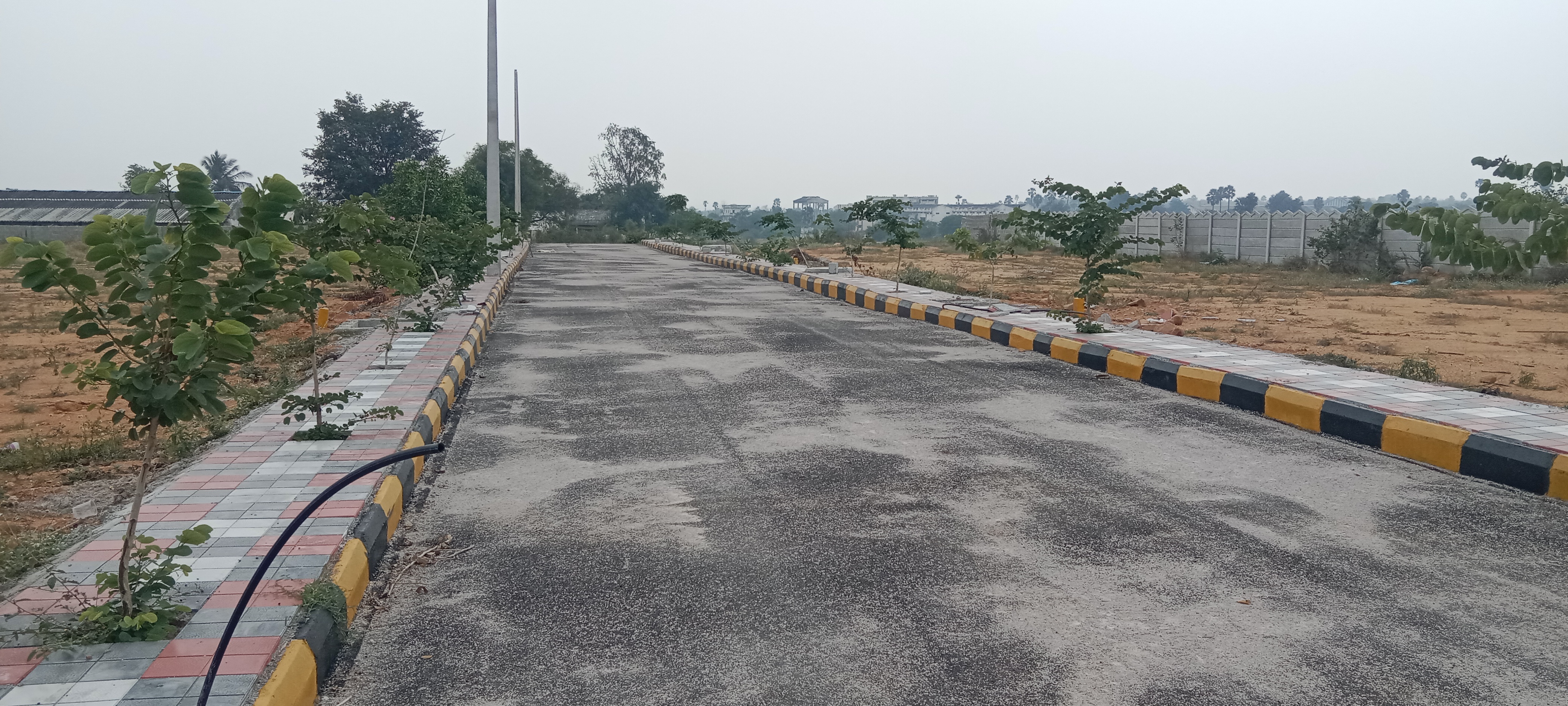 Plot For Resale in Pedda Amberpet Hyderabad  6214398