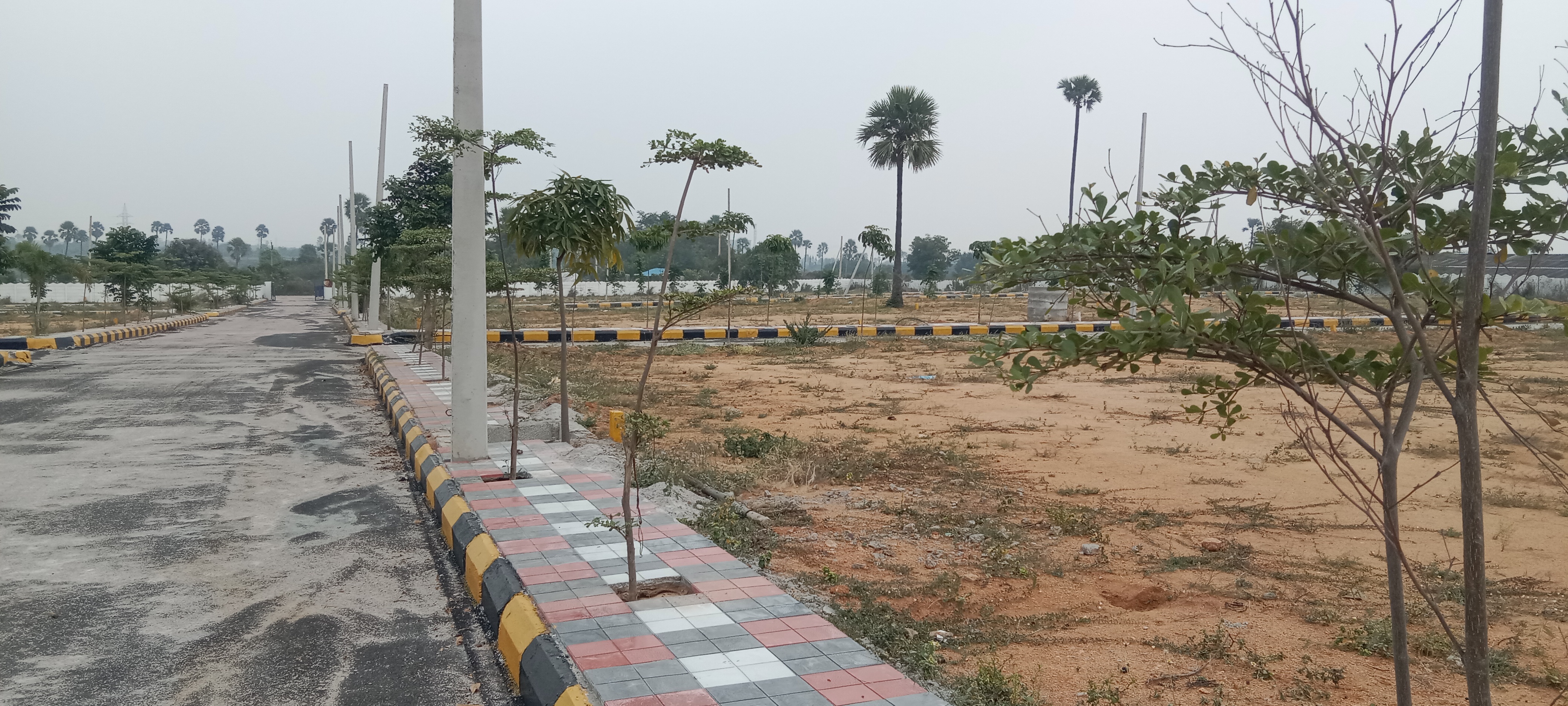 Plot For Resale in Munganoor Hyderabad  6214405