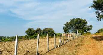  Plot For Resale in Shahbaad Hyderabad 6215085