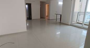 3 BHK Apartment For Rent in Tulip Violet Sector 69 Gurgaon 6215200