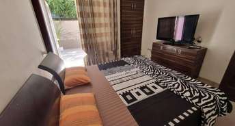 3.5 BHK Apartment For Rent in Unitech Espace Nirvana Country Sector 50 Gurgaon 6215584