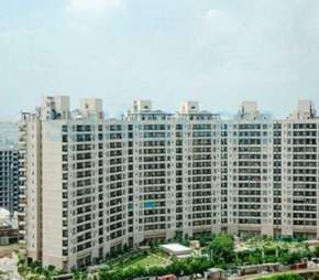 3 BHK Apartment For Rent in Central Park II Bellevue Sector 48 Gurgaon 6215628