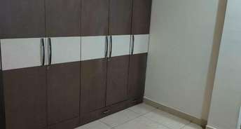 2 BHK Builder Floor For Rent in Sector 9 Gurgaon 6216287