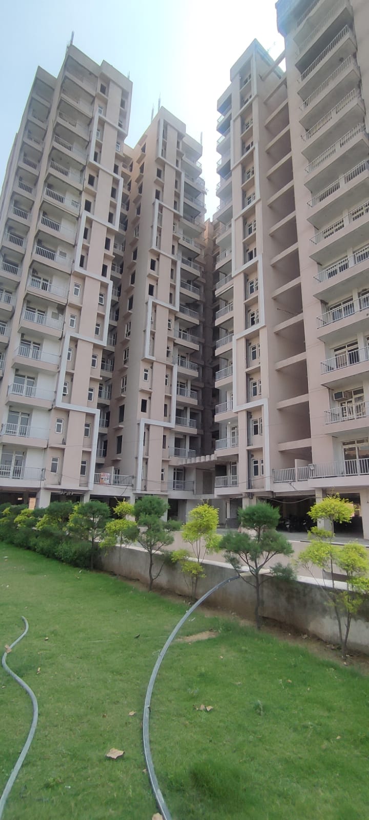 3.5 BHK Apartment For Resale in Royce Sentosa Parc Raj Nagar Extension Ghaziabad  6216439