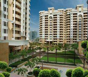 3 BHK Apartment For Rent in Vipul Belmonte Sector 53 Gurgaon 6216514