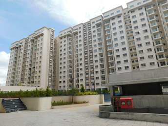 3 BHK Apartment For Rent in Provident Park Square Kanakapura Road Bangalore 6216623