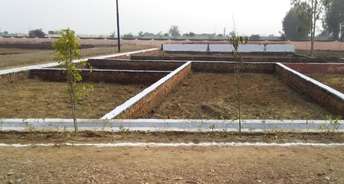 Commercial Land 900 Sq.Ft. For Resale In Tappal  Greater Noida 6216921