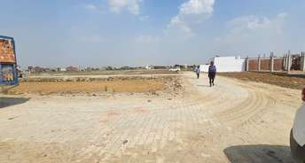 Commercial Land 9000 Sq.Ft. For Rent In Greater Noida West Greater Noida 6217012