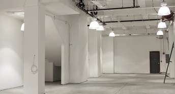 Commercial Showroom 2500 Sq.Ft. For Rent In Churchgate Mumbai 6217942
