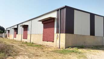 Commercial Warehouse 9000 Sq.Ft. For Rent in Bhakrota Jaipur  6217992