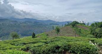 Commercial Land 10 Acre For Resale In Ooty Road Coonoor 6218608