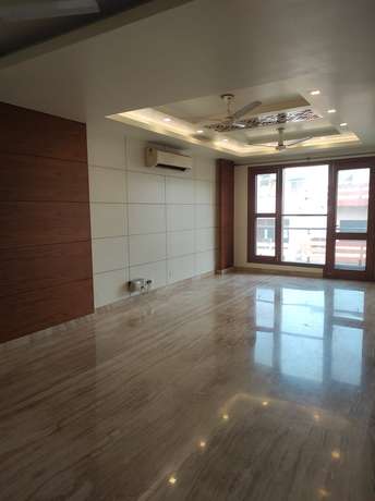 3 BHK Builder Floor For Rent in RWA Green Park Green Park Delhi 6218878