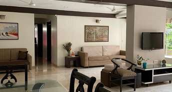 3 BHK Apartment For Rent in Gowalia Tank Mumbai 6218898