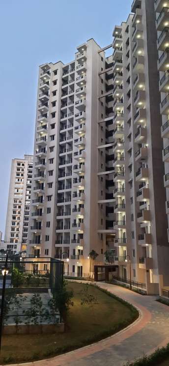 2 BHK Apartment For Resale in Noida Central Noida 6219249