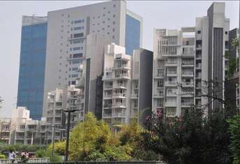 5 BHK Apartment For Resale in Ireo Victory Valley Sector 67 Gurgaon 6219333
