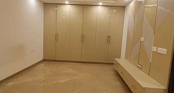 4 BHK Builder Floor For Rent in Pushpanjali Enclave Delhi 6219491