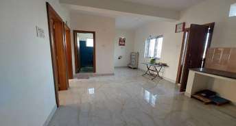 6+ BHK Independent House For Resale in Coimbatore International Airport Coimbatore 6219697