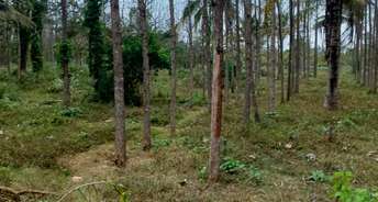 Commercial Land 2 Acre For Resale In Hunsur Road Mysore 6219773